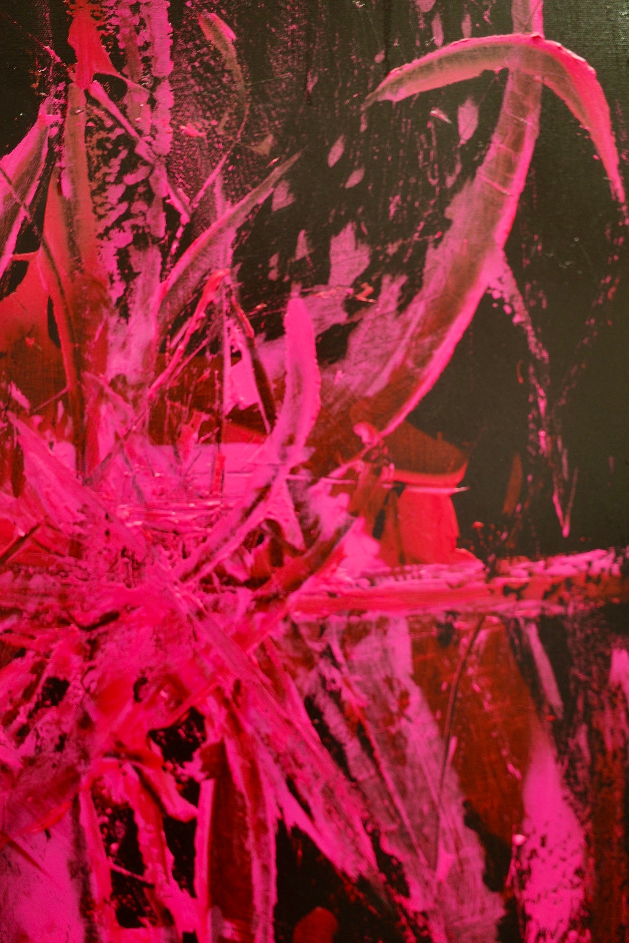 Space X  (Price "ASK")